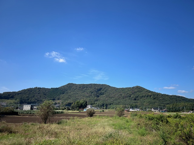 久しぶりの晴れ☀